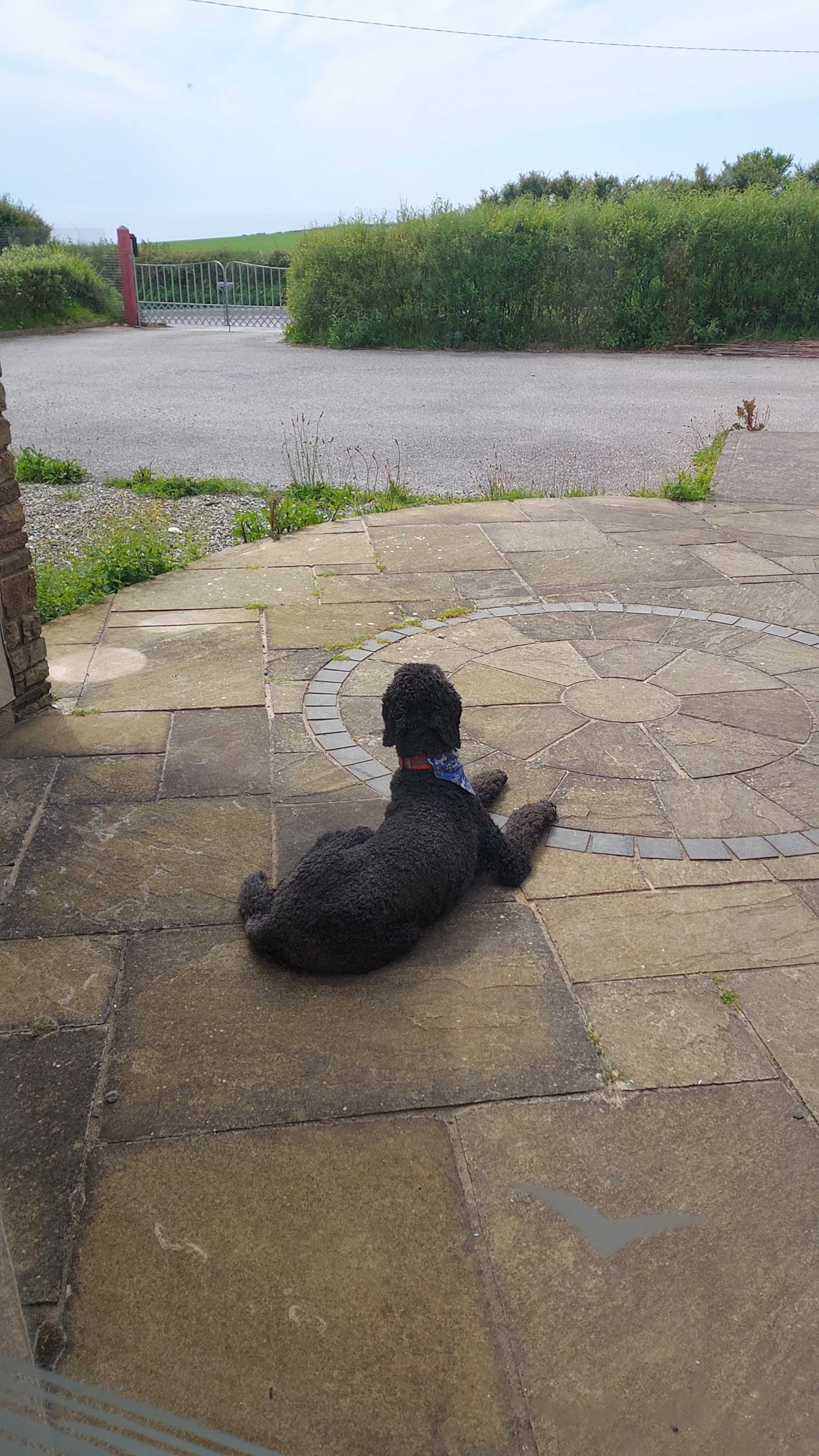 Max outside