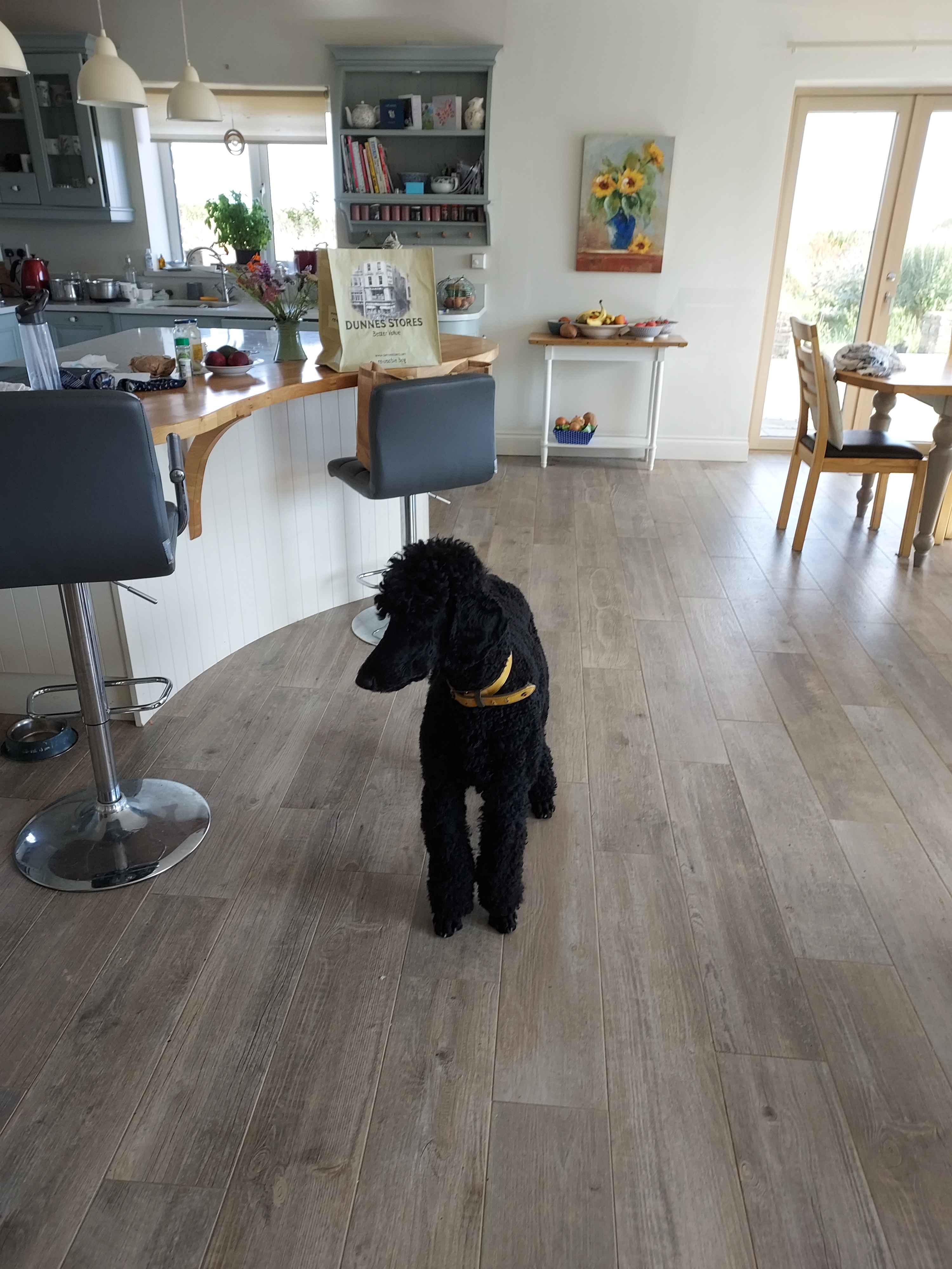 Max standing tall
